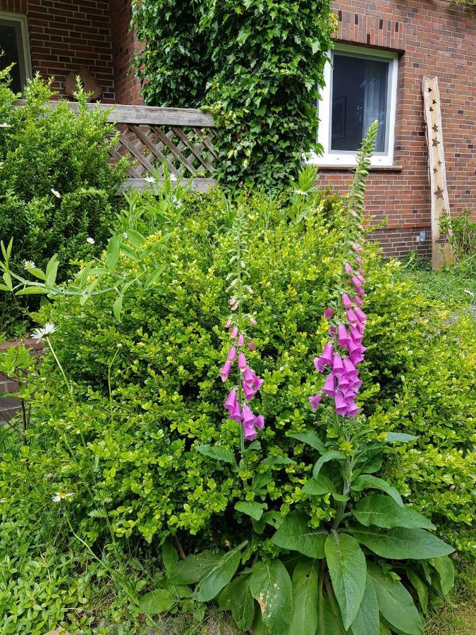 Ferienwohnung Im Naturgarten Schneverdingen Eksteriør billede